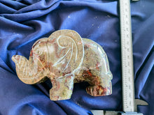 Load image into Gallery viewer, Dragonblood Elephant