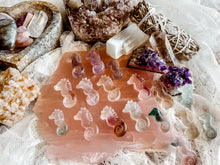 Load image into Gallery viewer, Sea Horse Fluorite