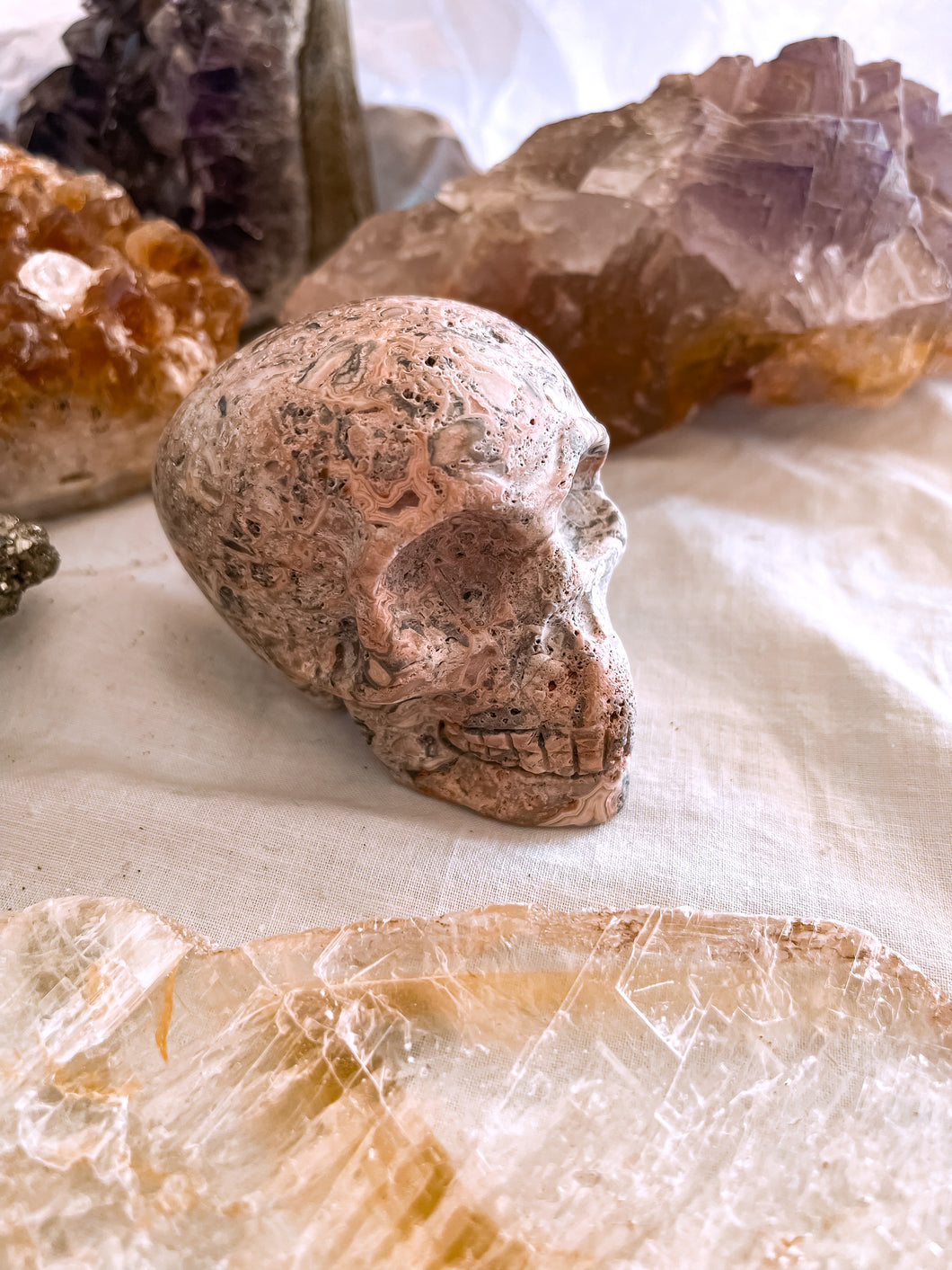 Crazy Lace Agate Skull
