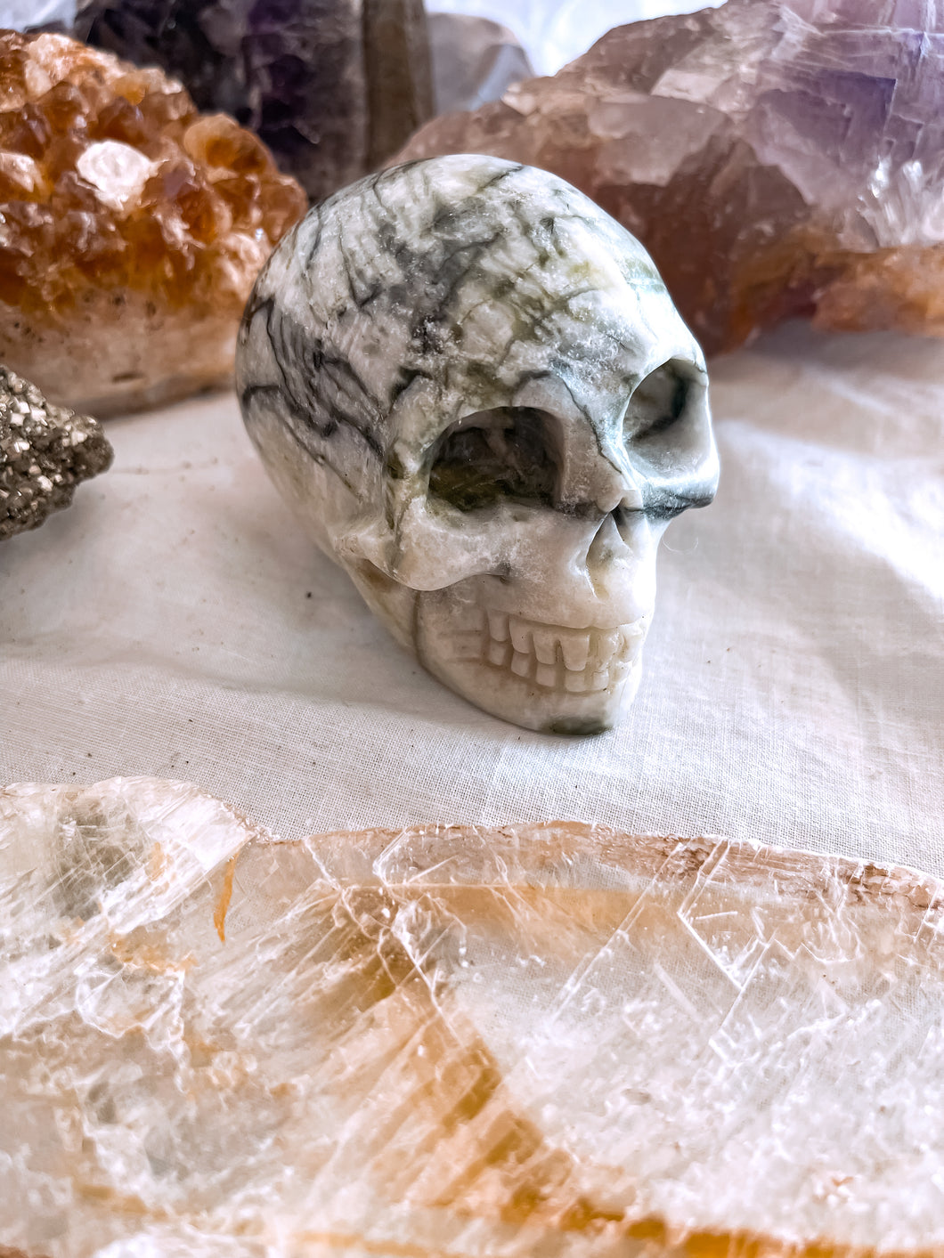 Tree Agate Skull