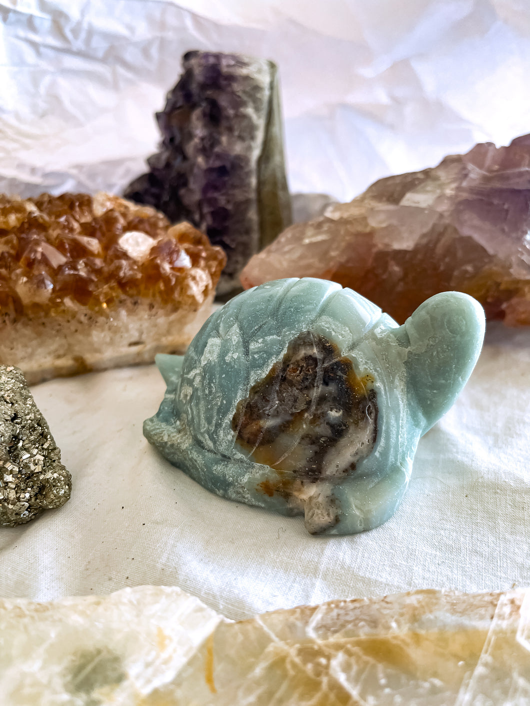 Amazonite Turtle