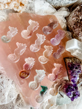 Load image into Gallery viewer, Sea Horse Fluorite
